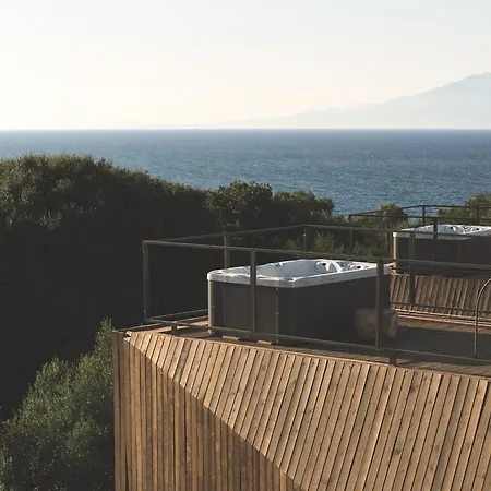 Prosilio Olive Tree *