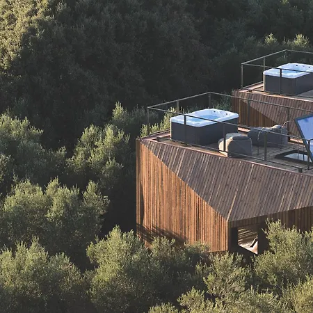 Prosilio Olive Tree Tsilivi (Zakynthos)