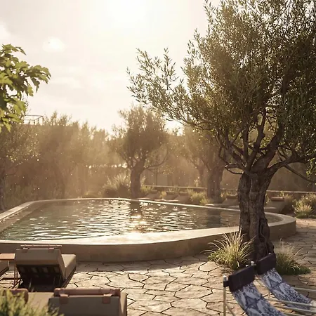 فندق Prosilio Olive Tree