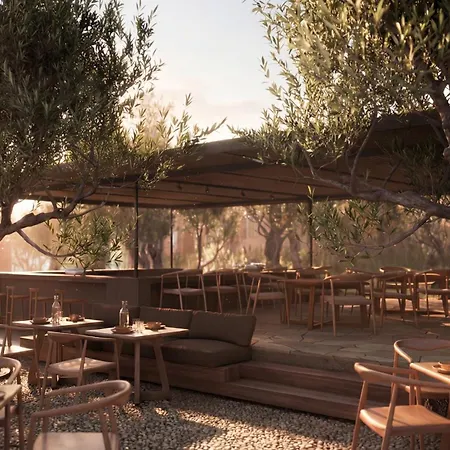 Prosilio Olive Tree فندق تسيليفي