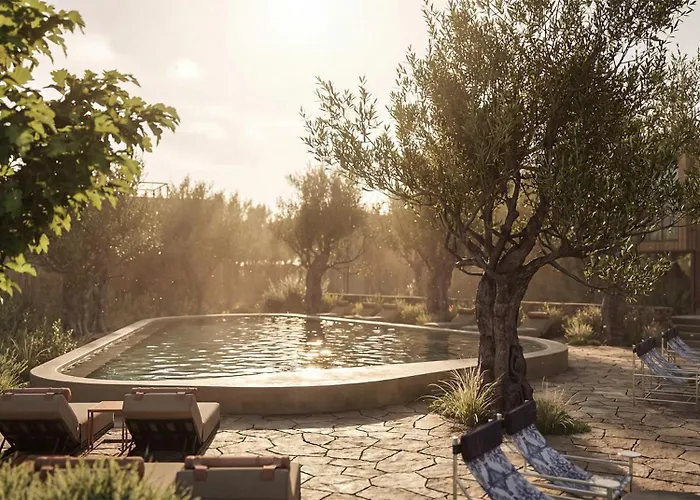 Hotel Prosilio Olive Tree