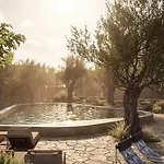 Otel Prosilio Olive Tree