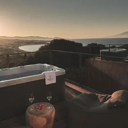 Prosilio Olive Tree チィリヴィ