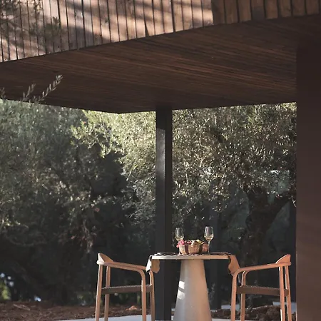 Prosilio Olive Tree تسيليفي