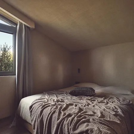 ホテル Prosilio Olive Tree