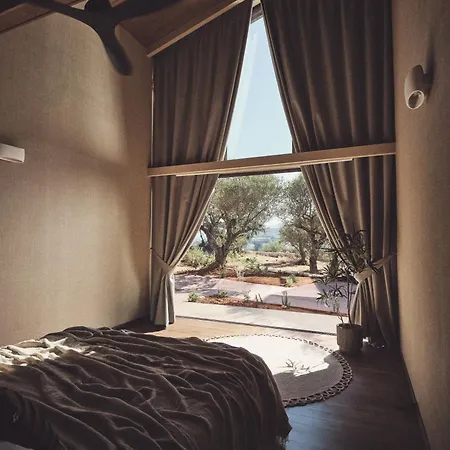 Prosilio Olive Tree * チィリヴィ