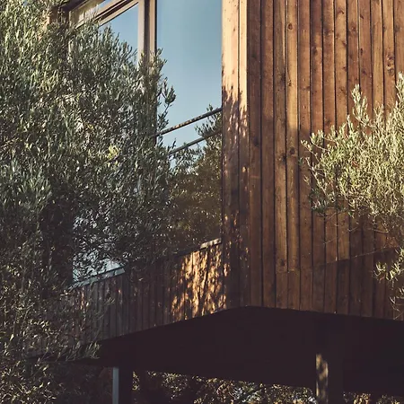 Prosilio Olive Tree فندق