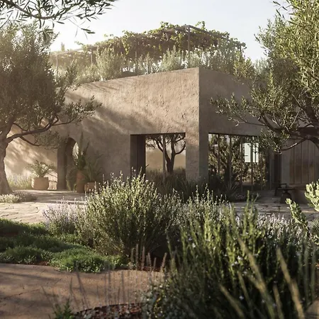 Hotel Prosilio Olive Tree *