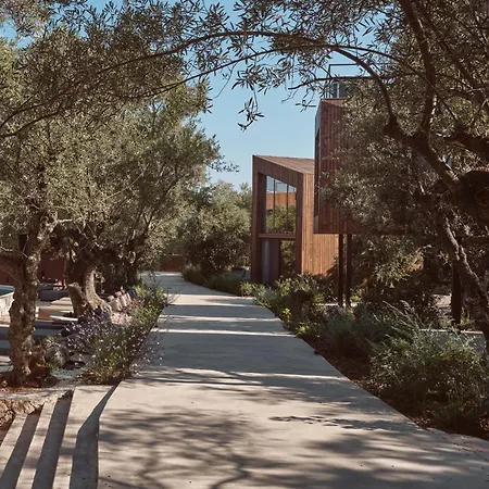 Hotel Prosilio Olive Tree