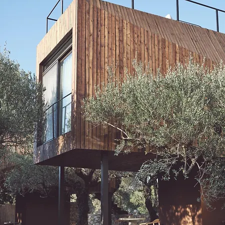 Hotel Prosilio Olive Tree *
