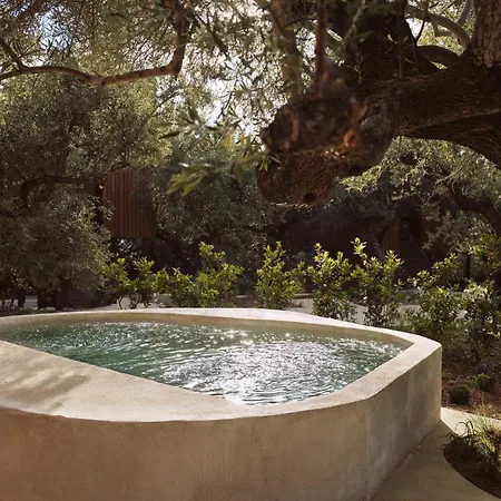 Prosilio Olive Tree Hotell *