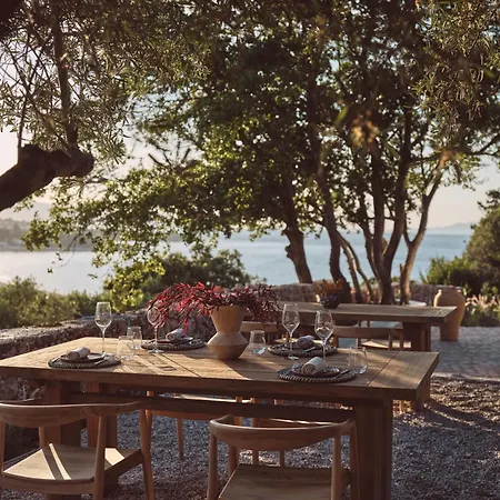 Hotell Prosilio Olive Tree
