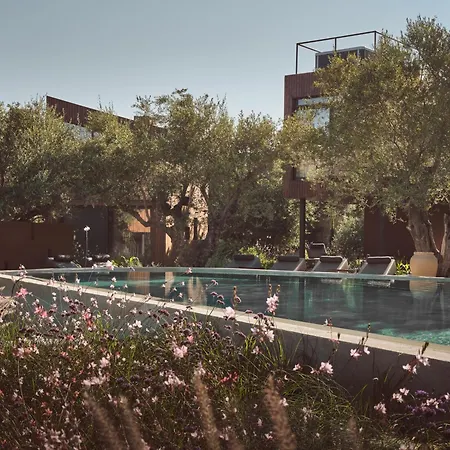 Prosilio Olive Tree Hotel Tsilivi (Zakynthos)