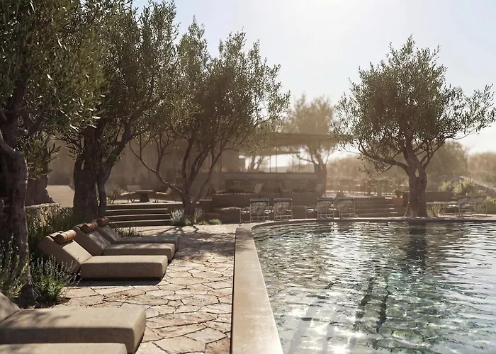 Hotel Prosilio Olive Tree