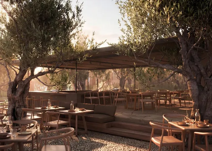 Prosilio Olive Tree Hotel Tsilivi (Zakynthos)