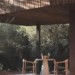 Prosilio Olive Tree Циливи