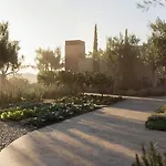 Hotel Prosilio Olive Tree Planos