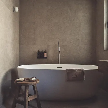 Prosilio Olive Tree *