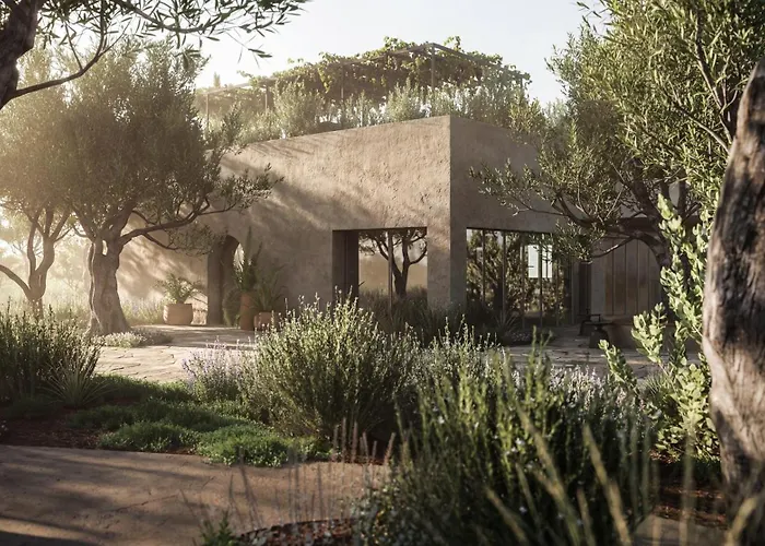 Hotel Prosilio Olive Tree *
